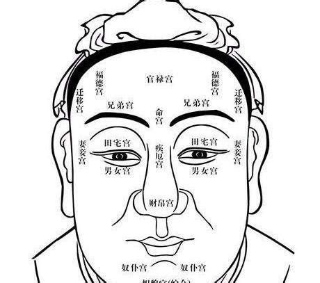 鼻子风水|鼻型面相分析三六风水网